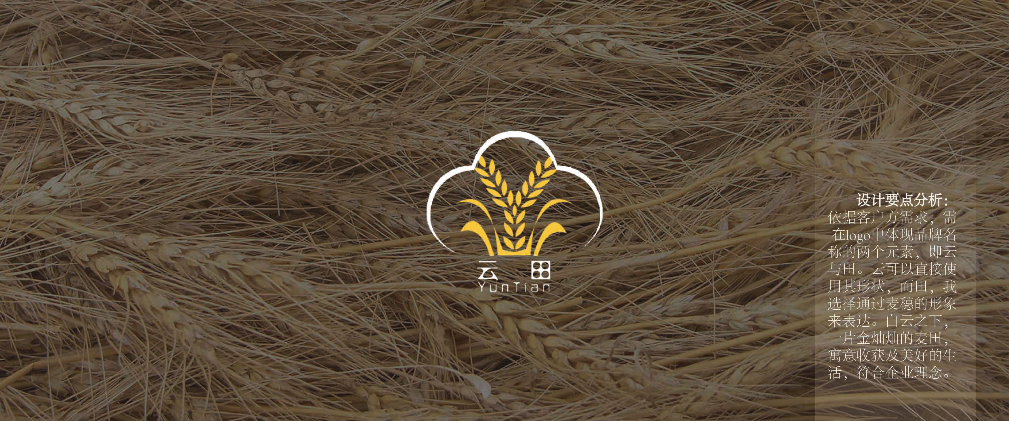 云田企业logo设计