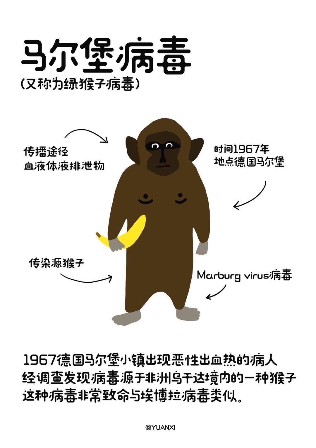 微博号@-元熙-在微博用卡通画的呈现形式,来科普病毒小知识平台用户